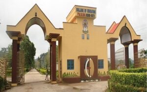 Everything You Need to Know About the College of Education Ikere Ekiti | School Reviews by Real